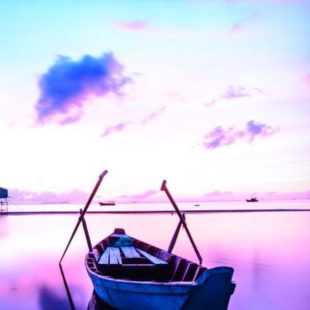 🌬️吹🌹成❄️