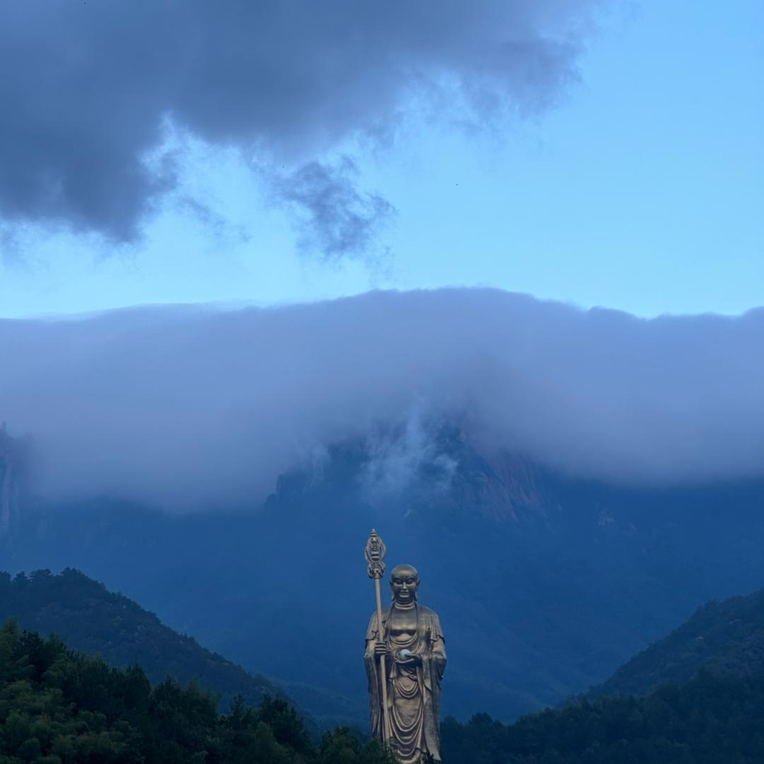 九华山农家特产小陆