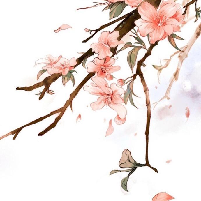 绾绾青丝