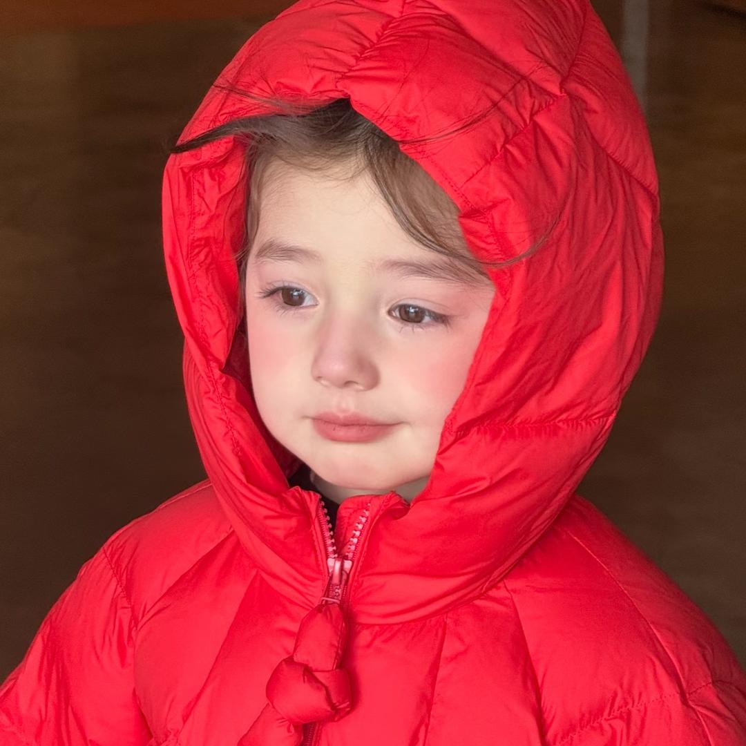 是Gun神啊（宠物博主版