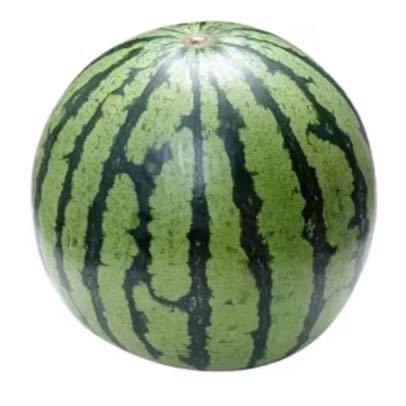 AAA落子无悔磊子