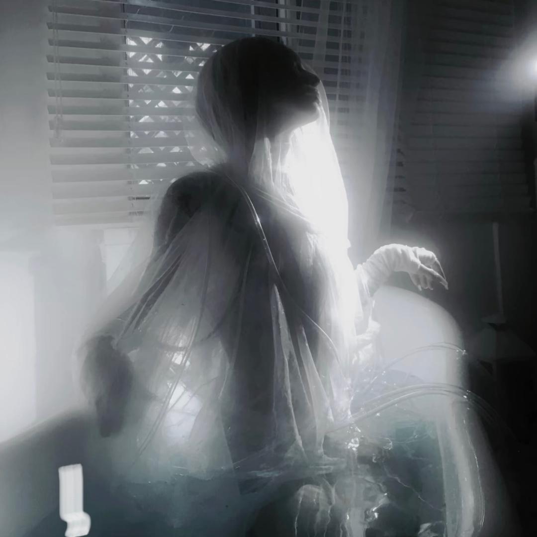小狐曦雅