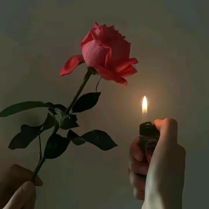 卡瓦顿珠