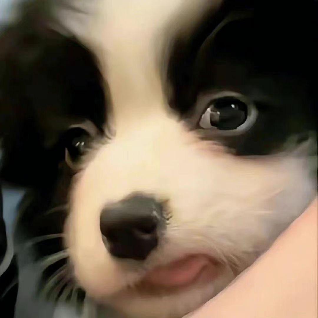 刘个der~