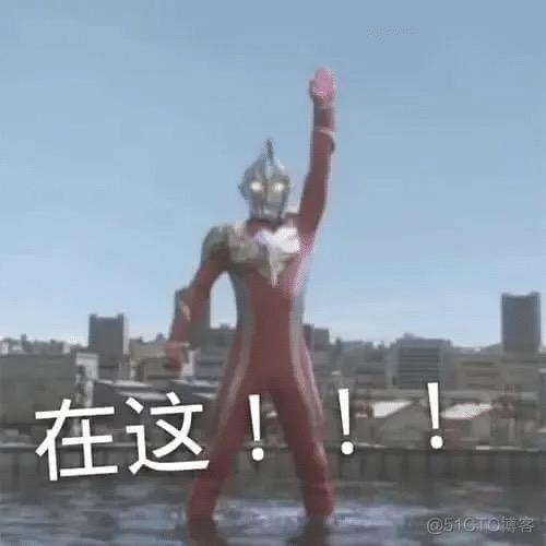 柘城北湖围小锅老板大鱼（某小锅干倒闭版）