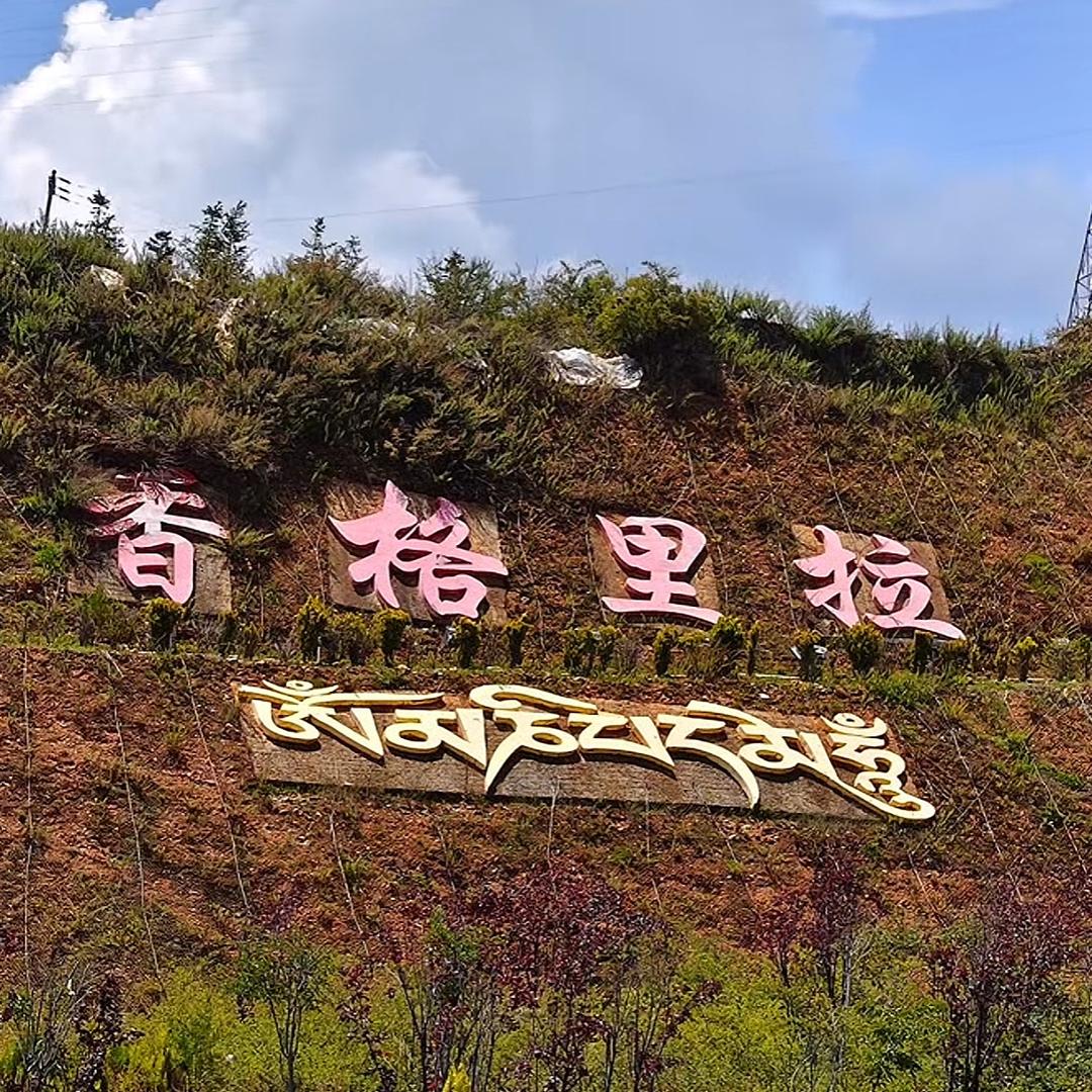 相逢己是上上签