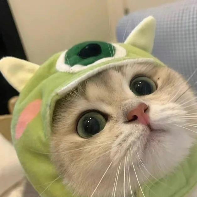 大眼喵🐱