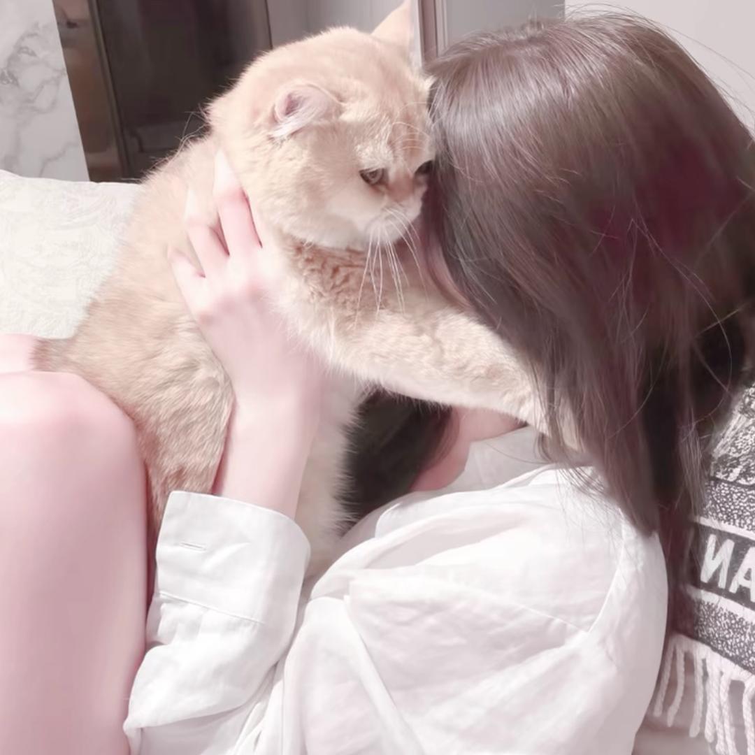 买断天真