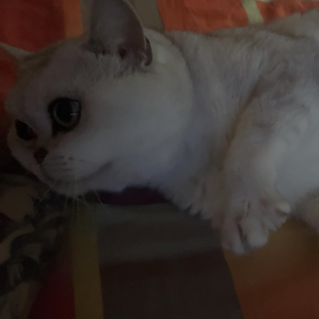 用户92011019