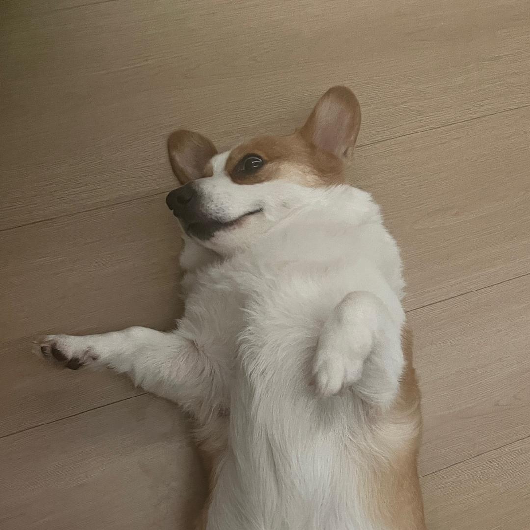 🌈晓得⭐️头像