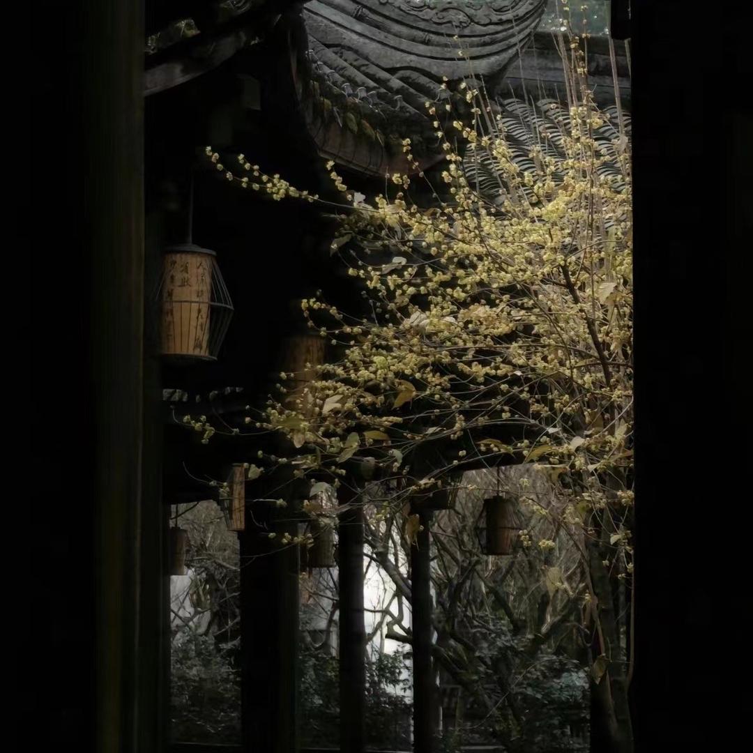 故辞居士