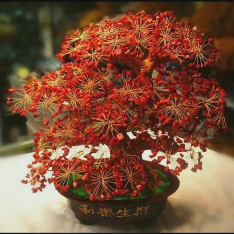 菊