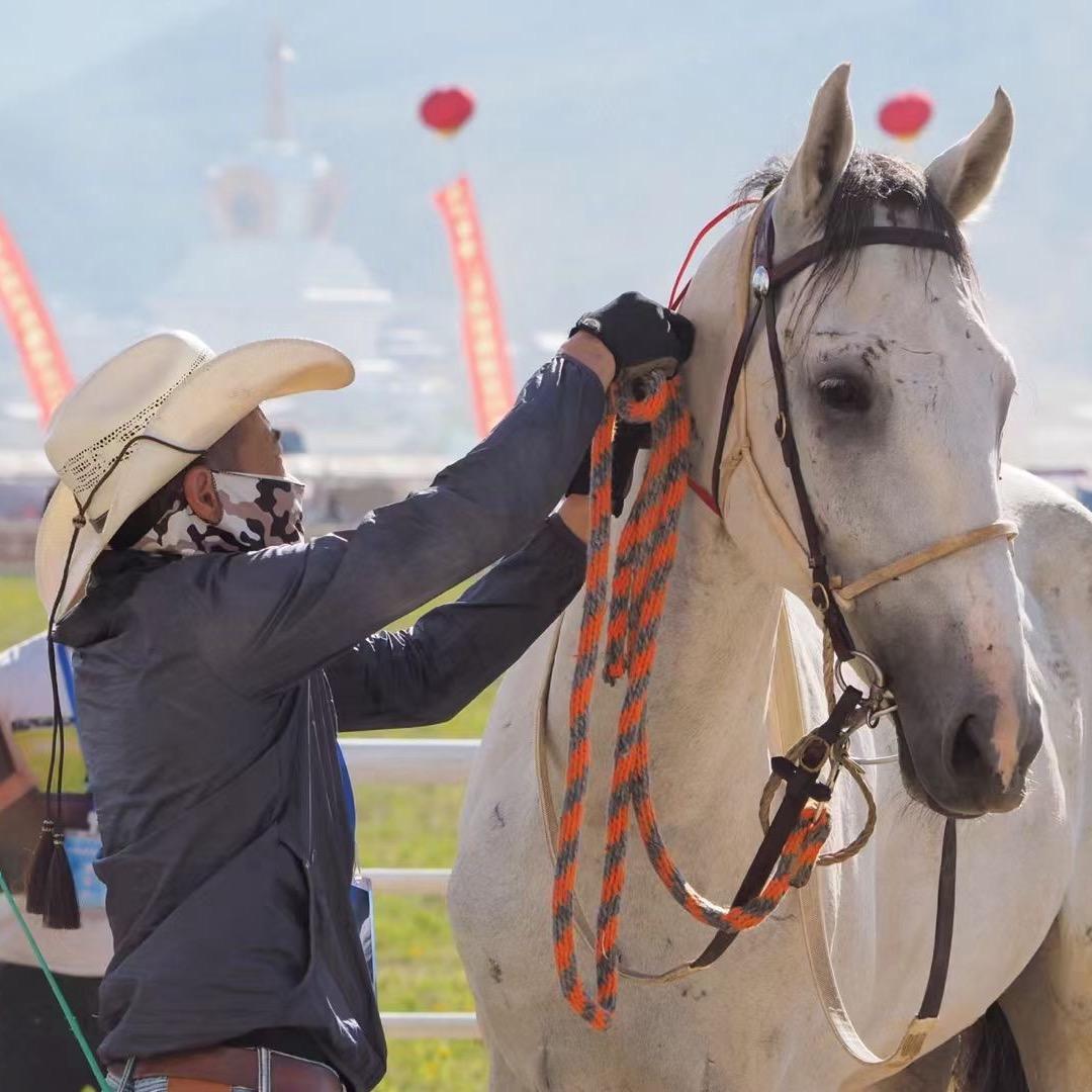大力的石头和八一