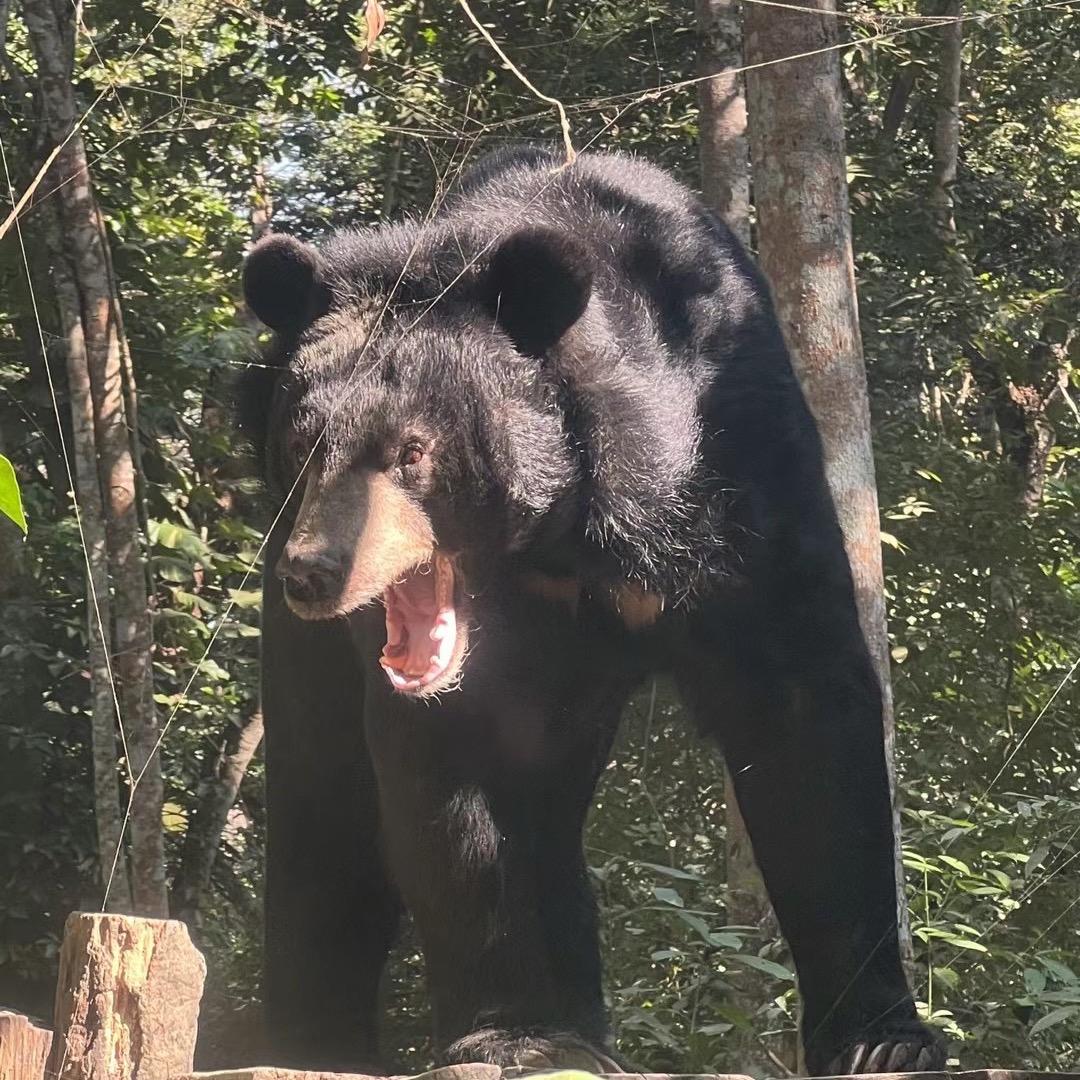 红旗飘飘🇨🇳