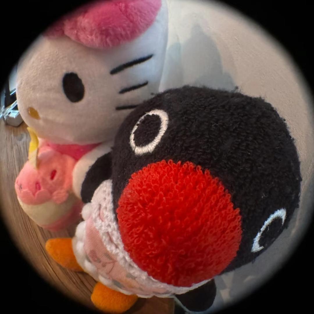 糕(⑉˙ᗜ˙⑉)