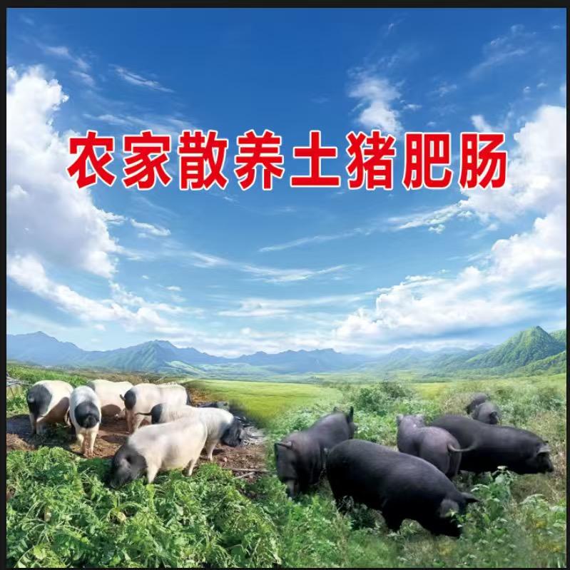 土猪肥肠