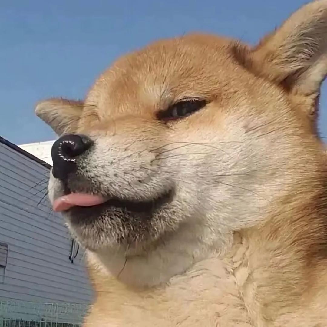 北北欢乐送