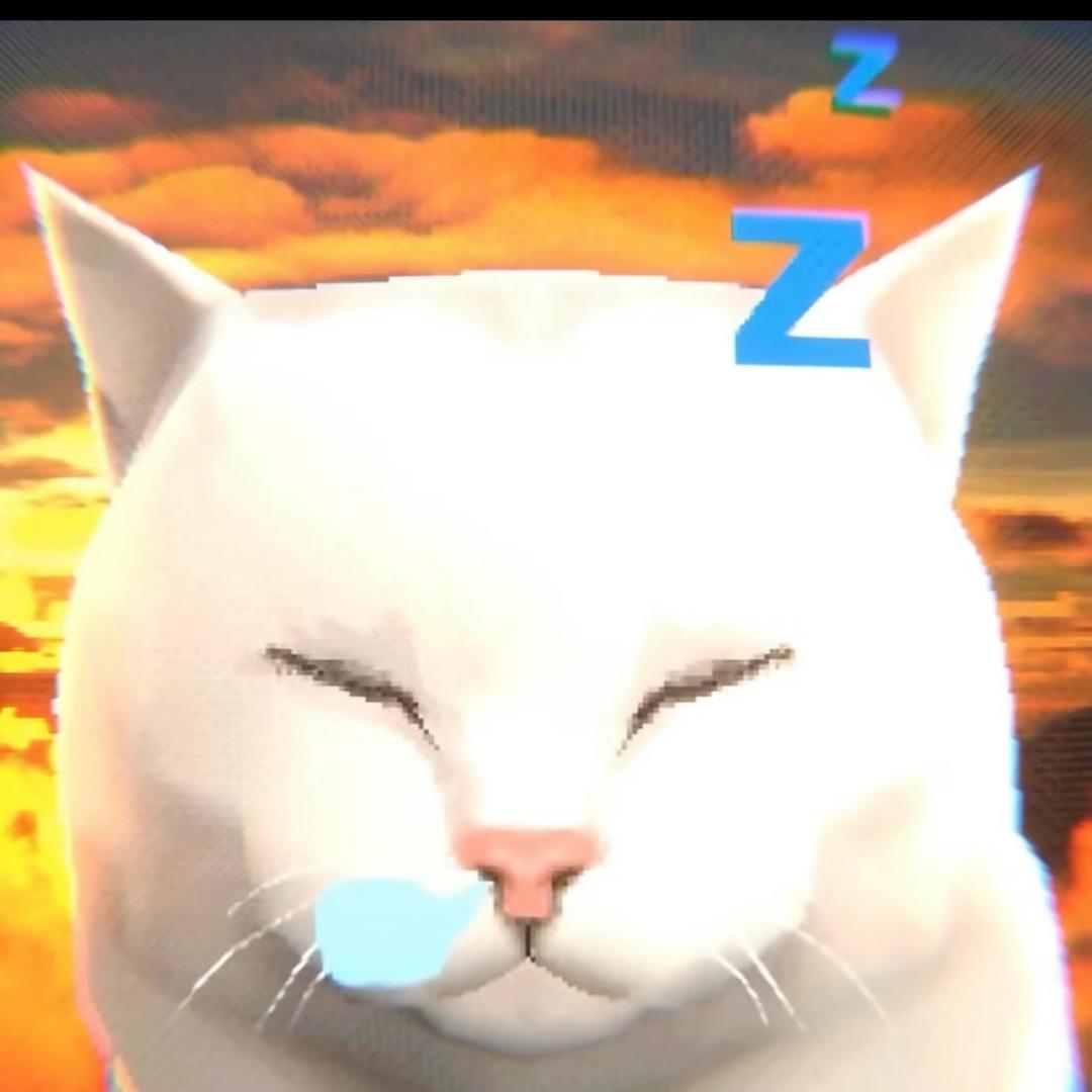 三花花💤