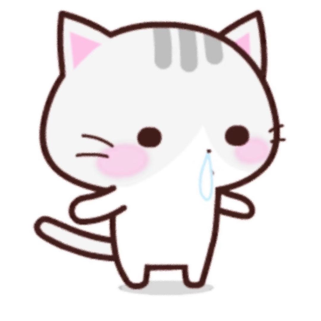 小耶宝