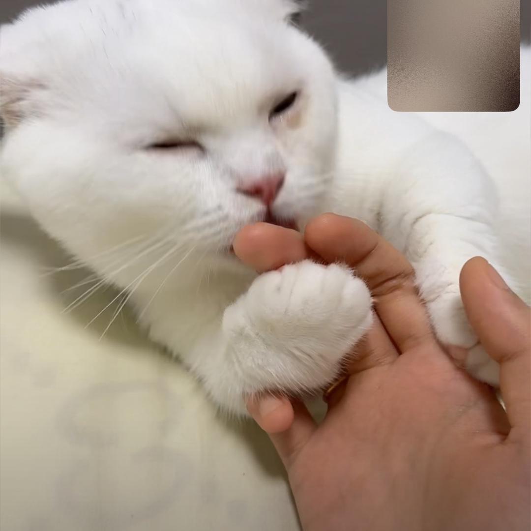 👄别问我是谁💄