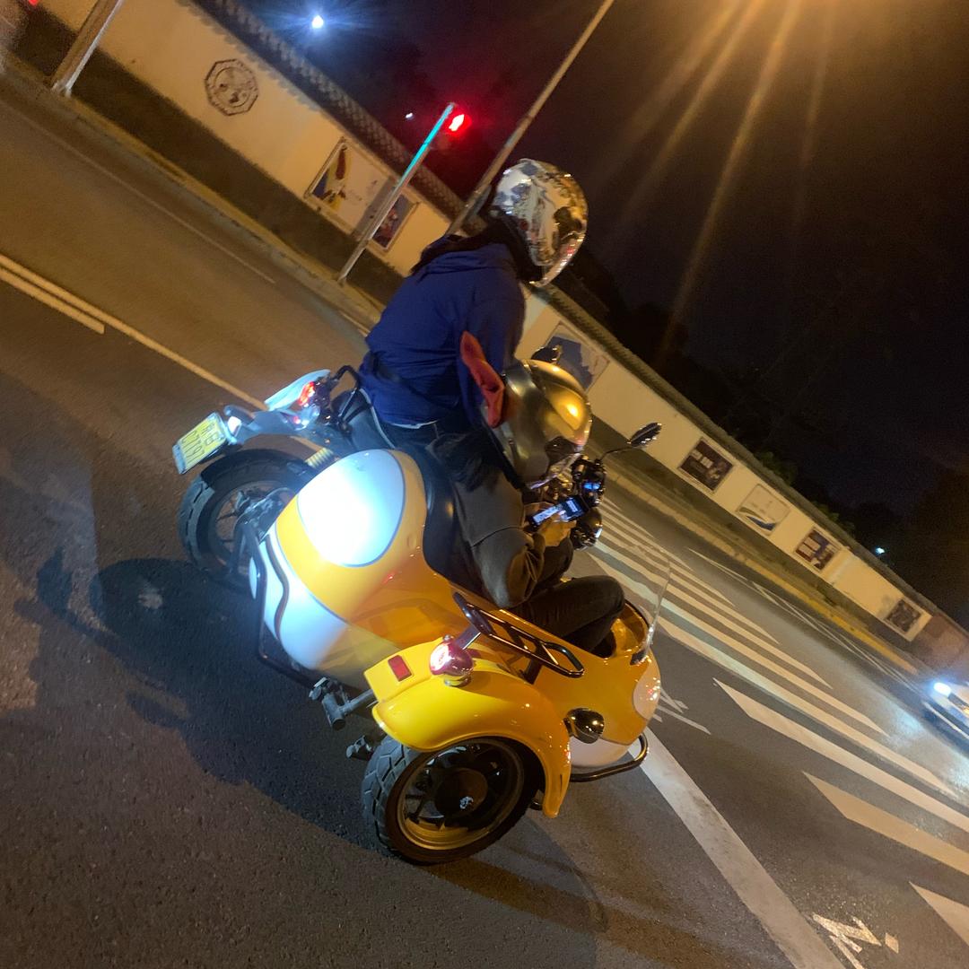 董小姐的喵