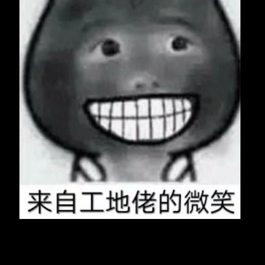 李 子木