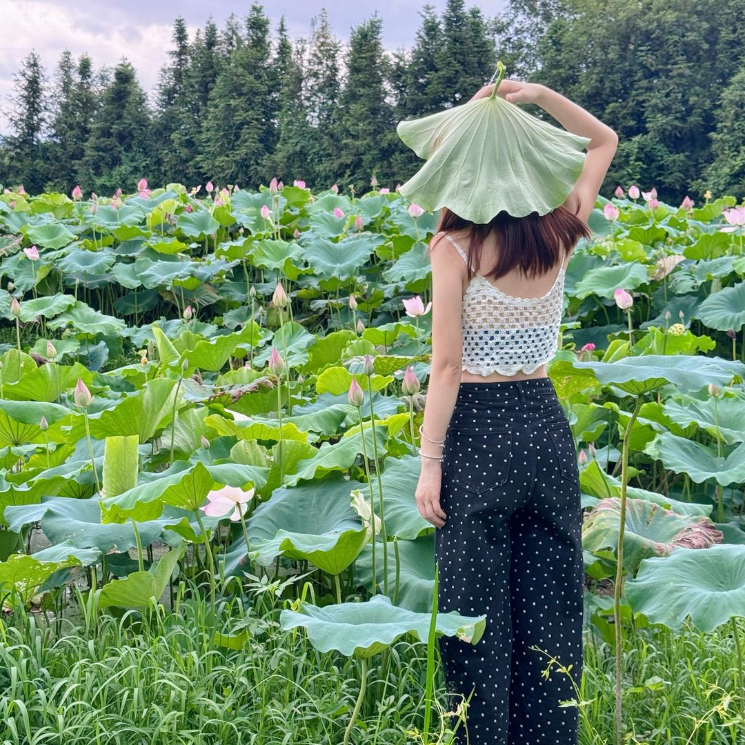 步步生莲种植园