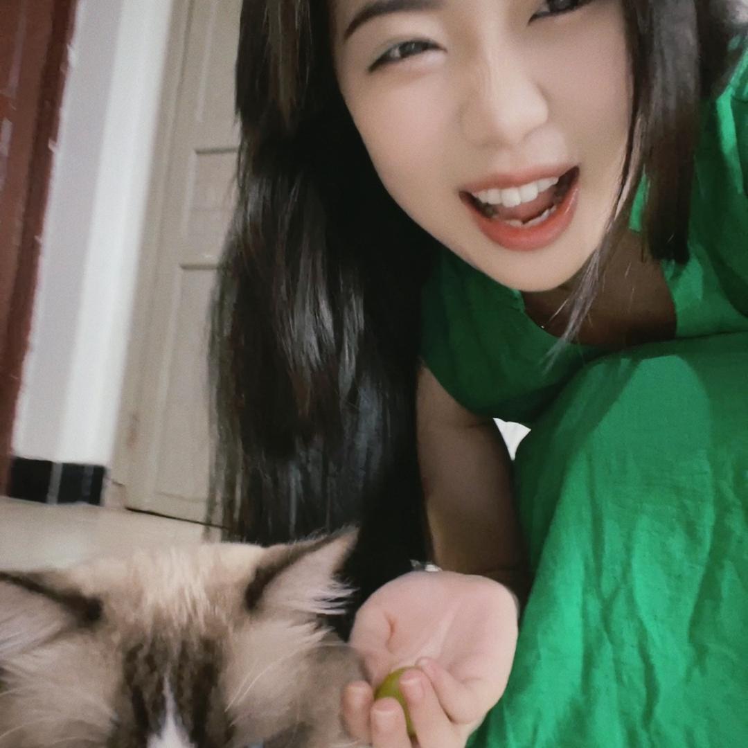 暴力兔子