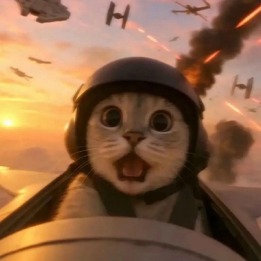 戴头盔的喵长官.