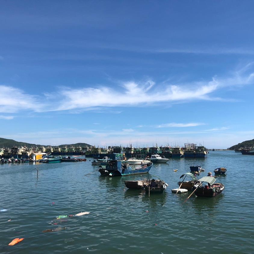 可乐鸡翅
