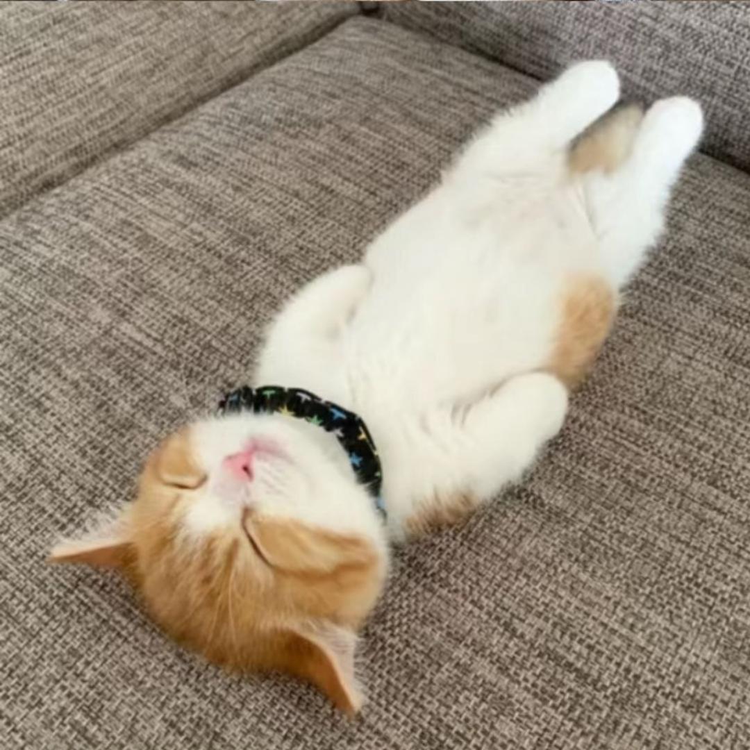 一躺就知有没有