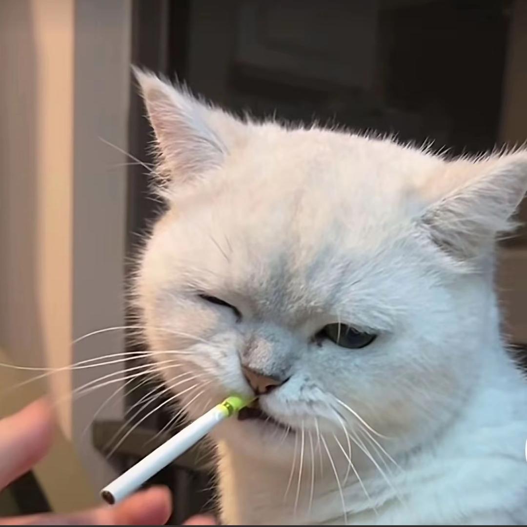 晕小蛋