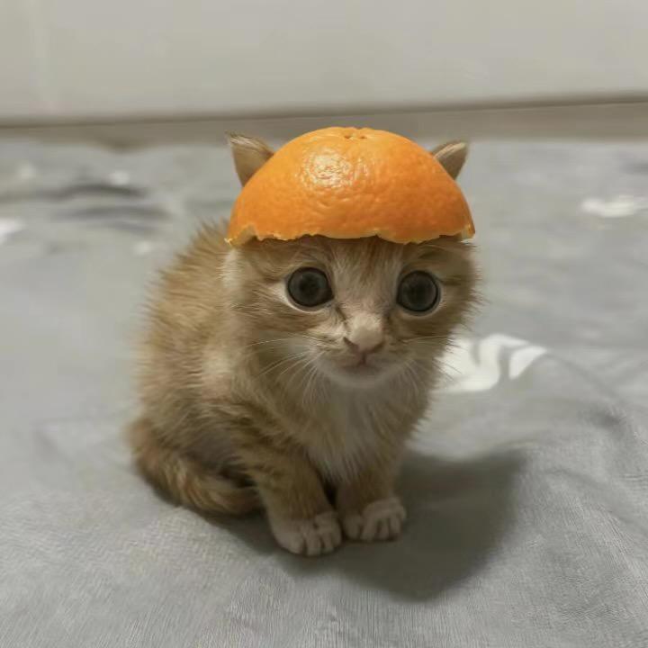 宇宙无敌大炮仗