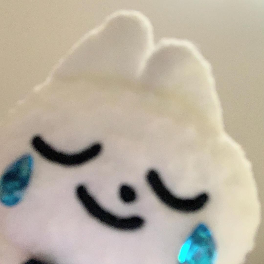 旅行的小飞猪