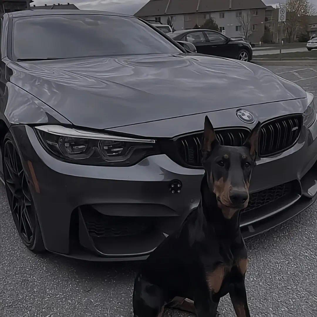 桂林电子华佗数码