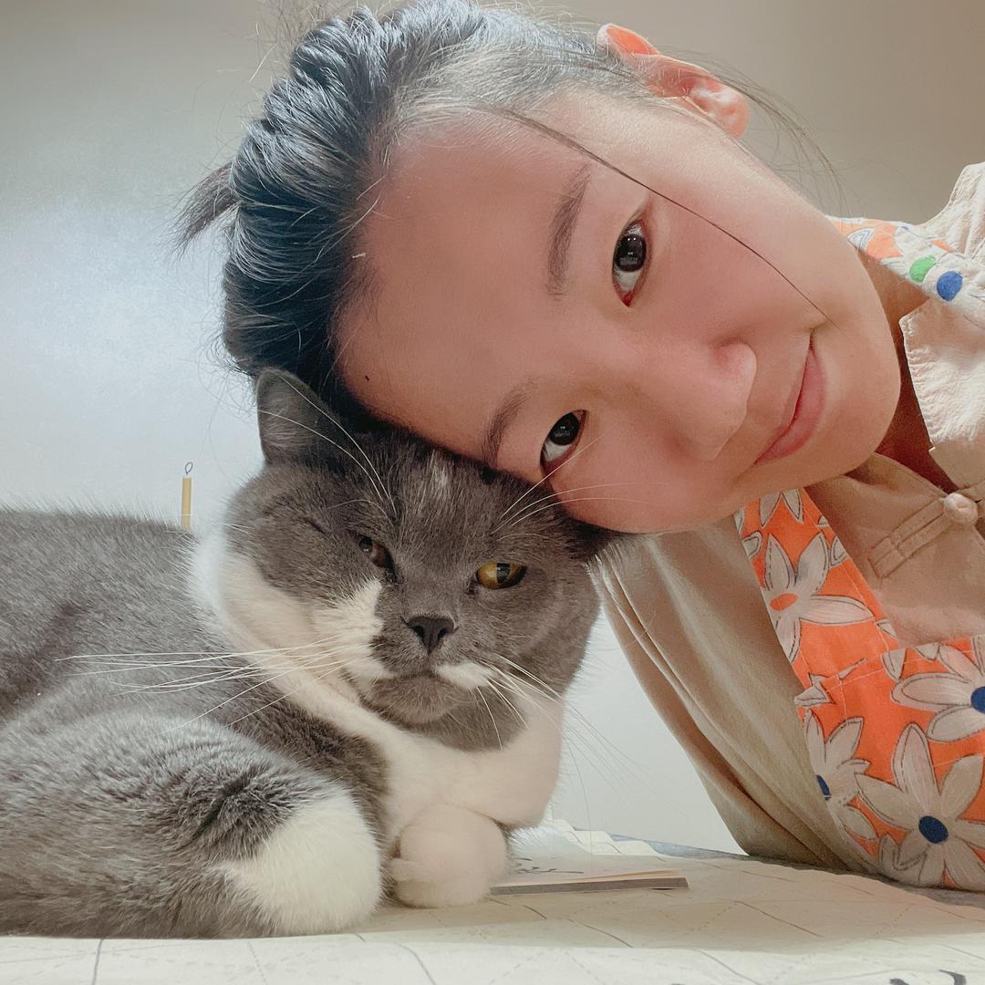 是铁锤呀