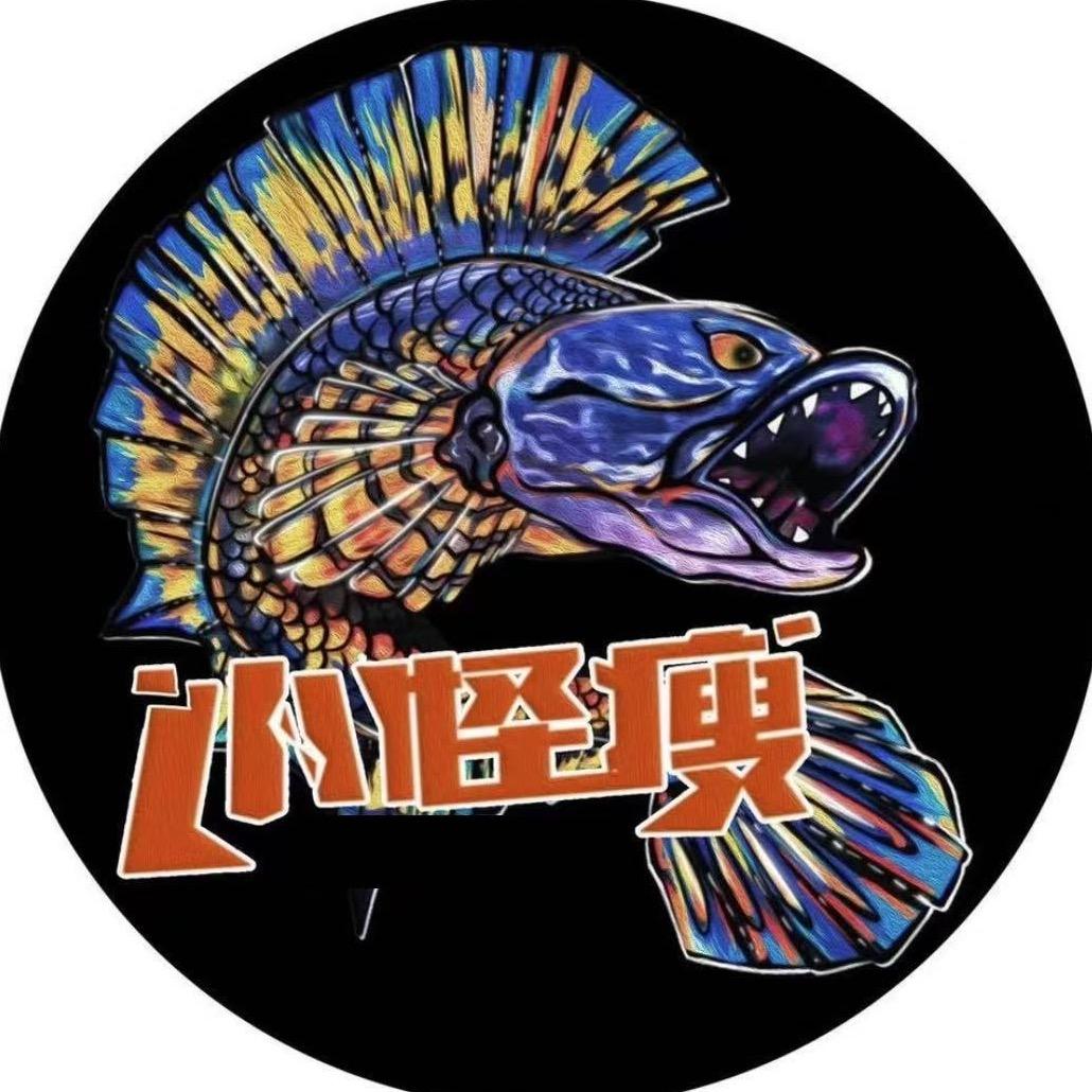 小怪瘦-雷龙鱼