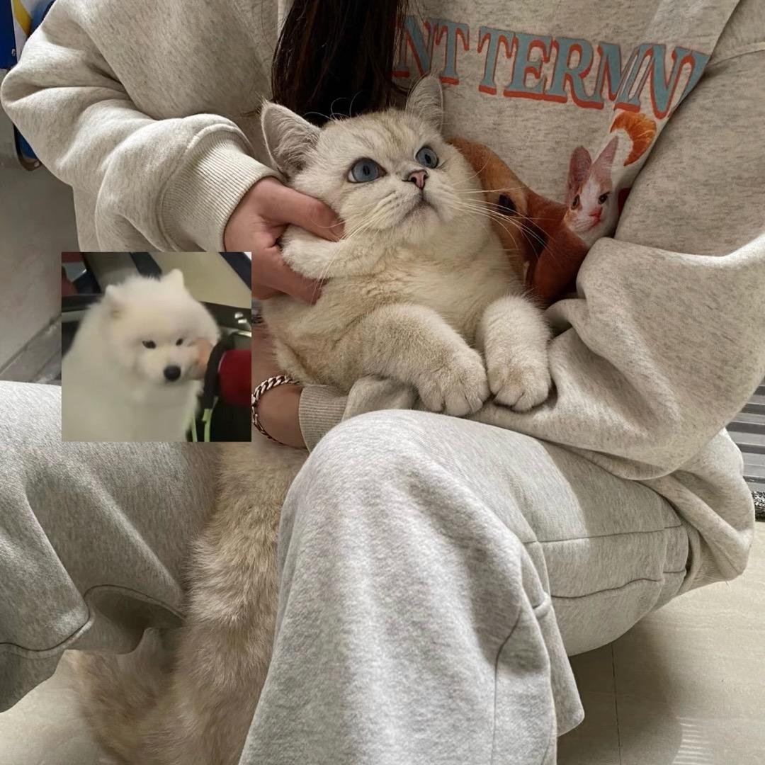 U.