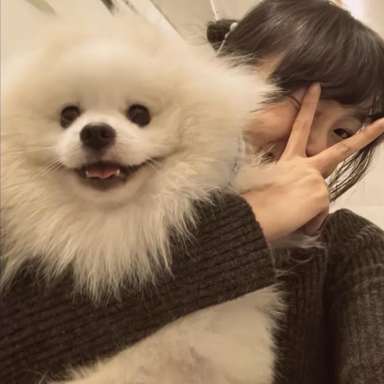 木子..