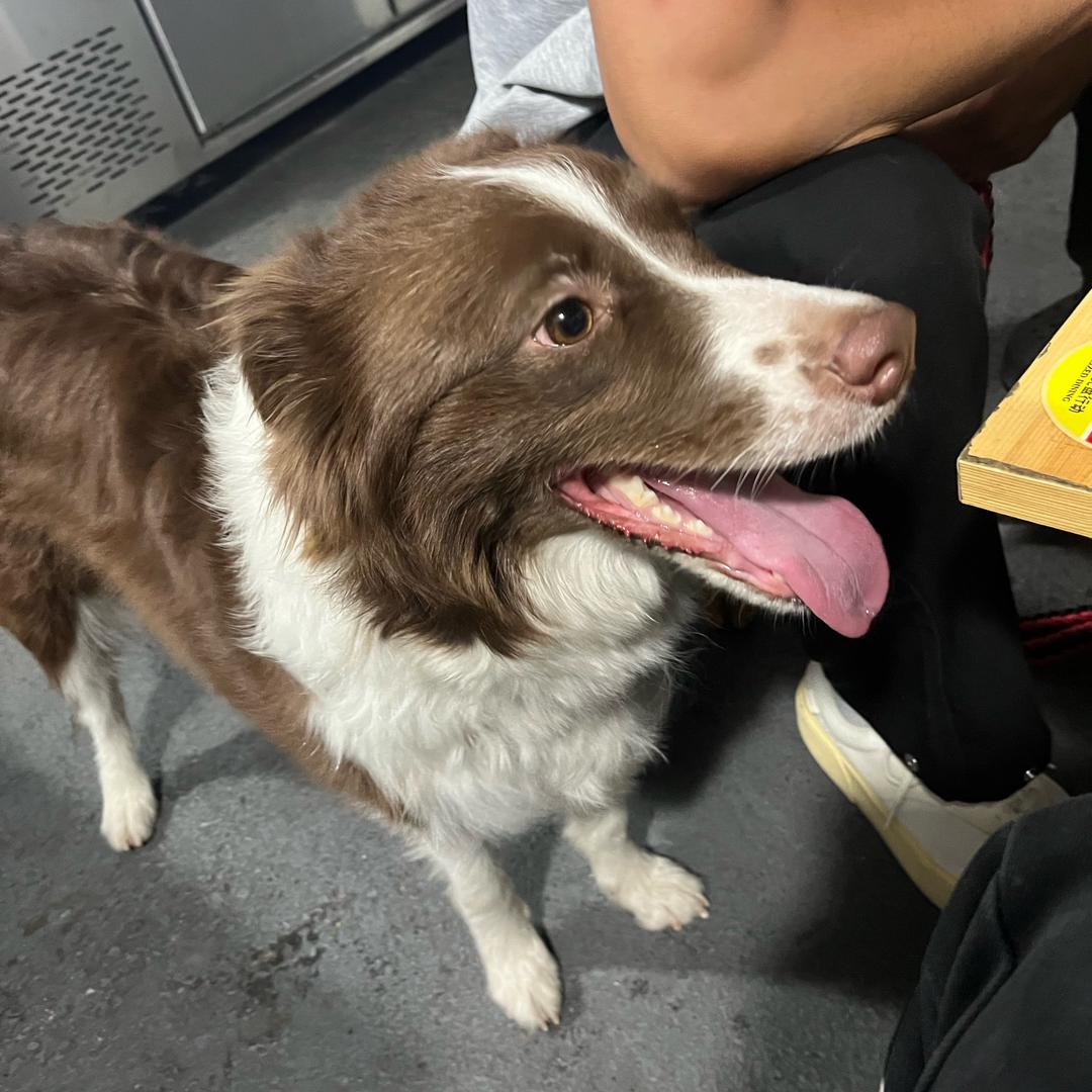 校园优选（济职）轻持人力-苗俊杰