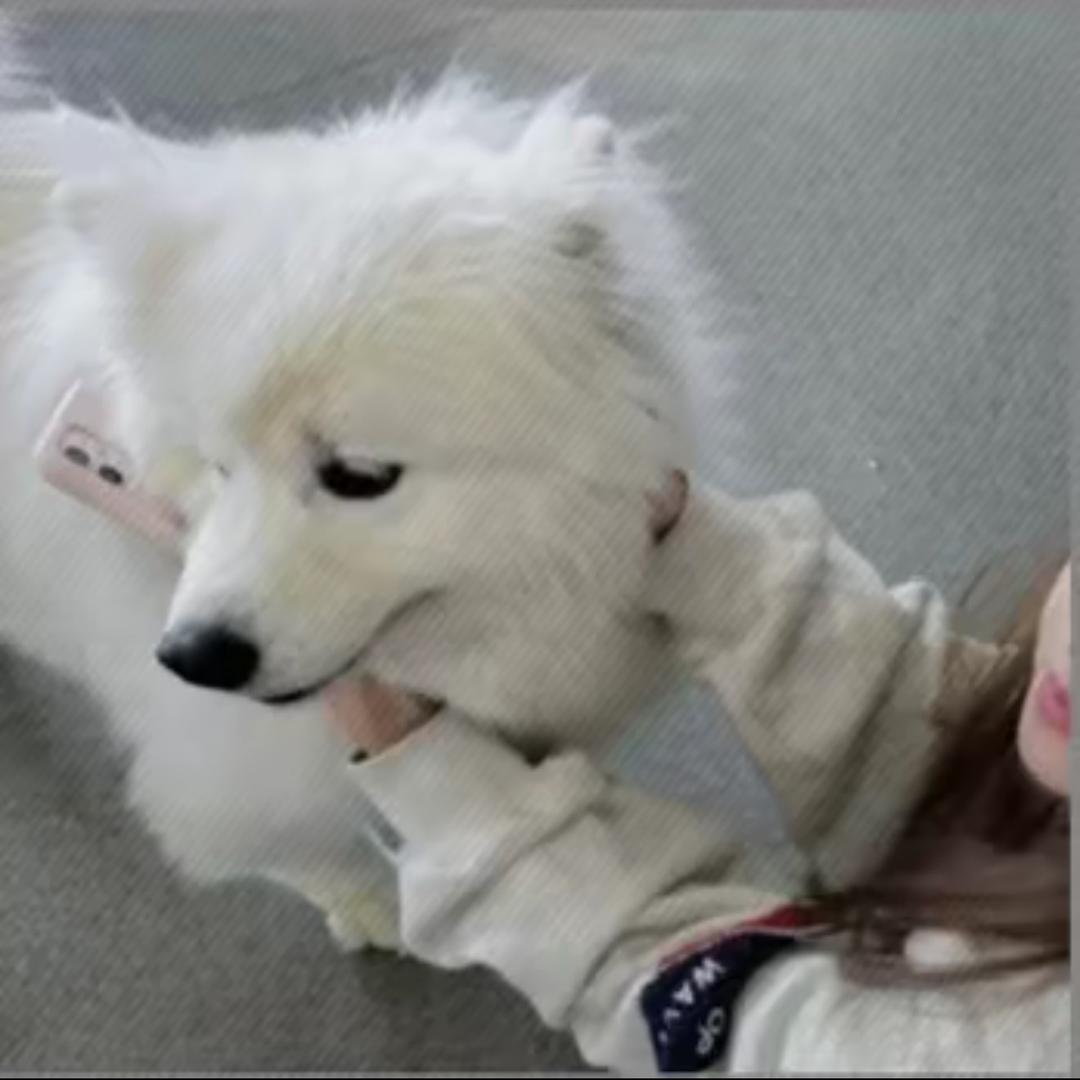 你比晚霞还要迷人