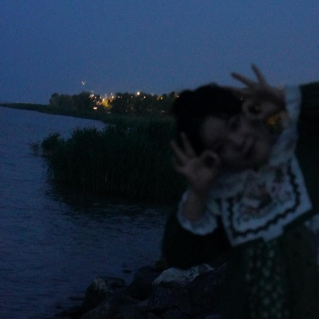 非洲大呲花