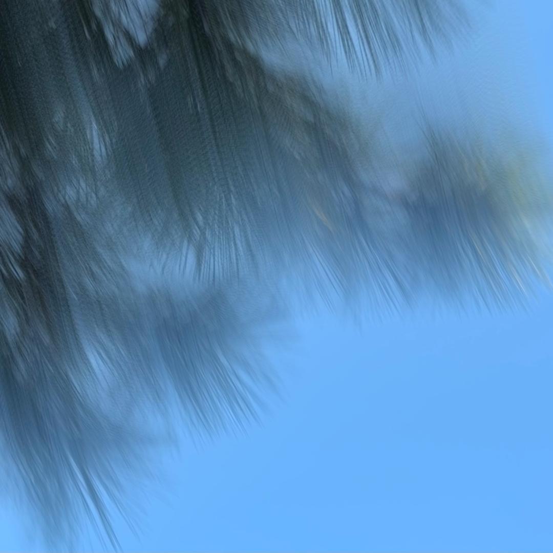 三把扫帚