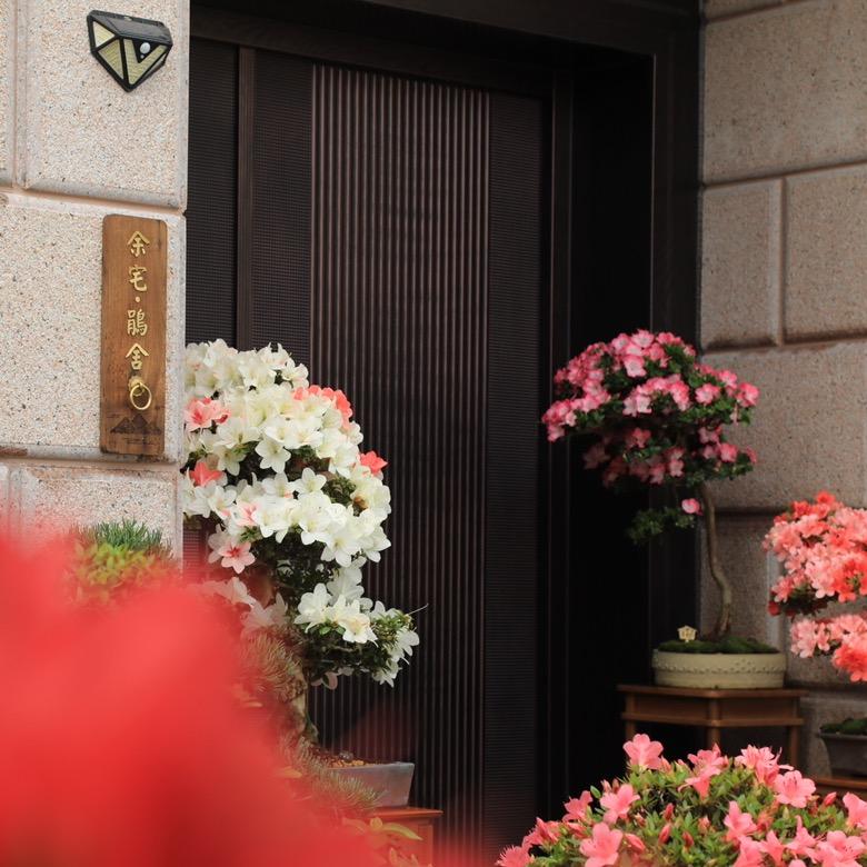 余小白