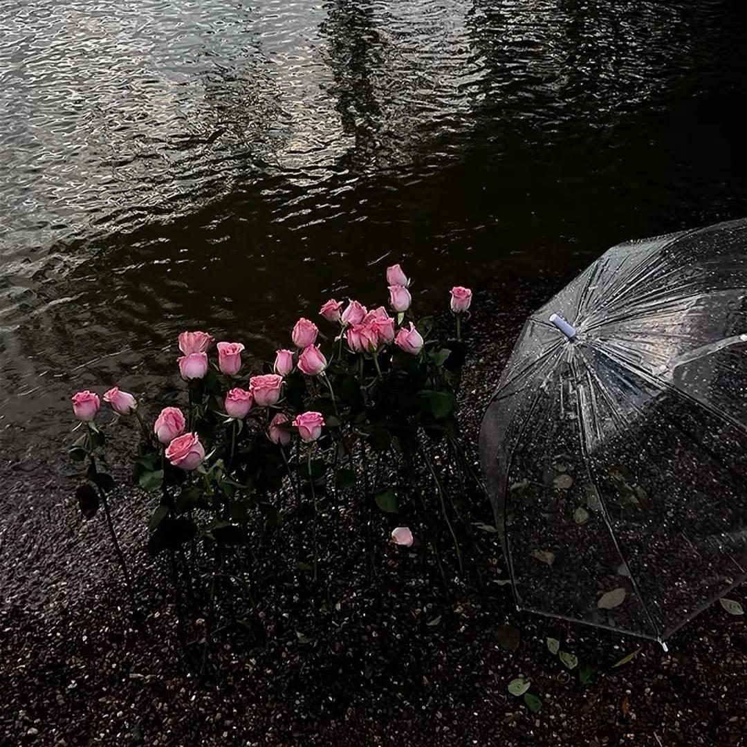 沙漠🌵