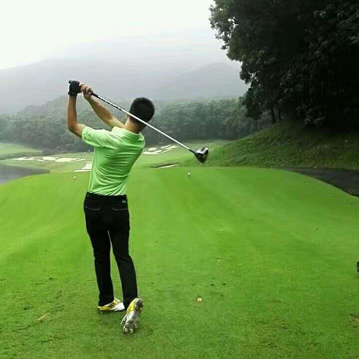 绿洲高球