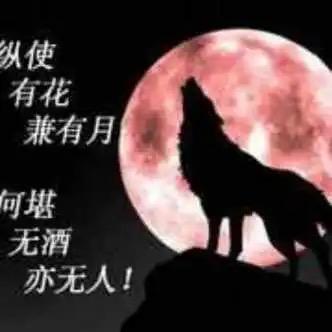 剧情再美终究是戏