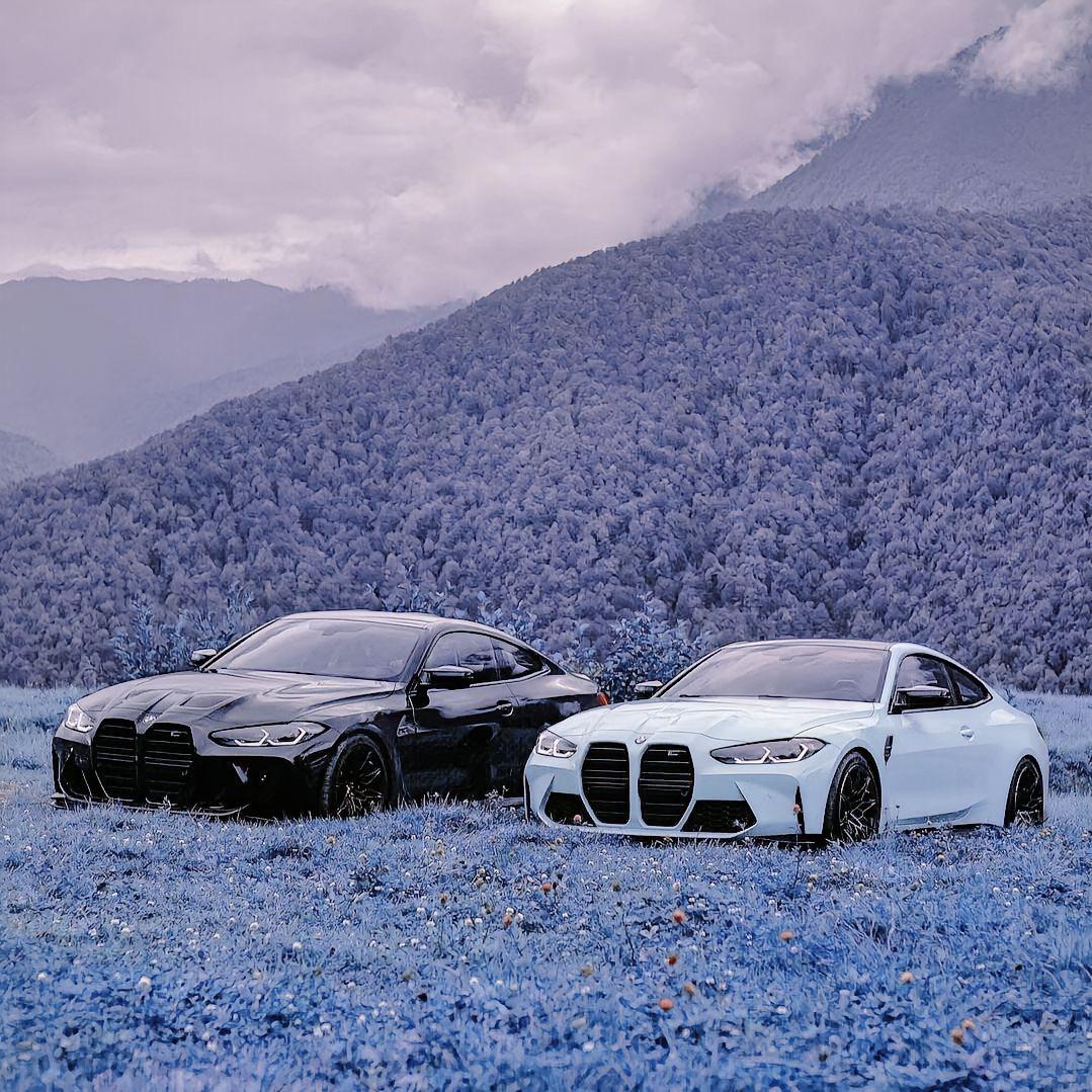 🍊夹巴旦木🍊