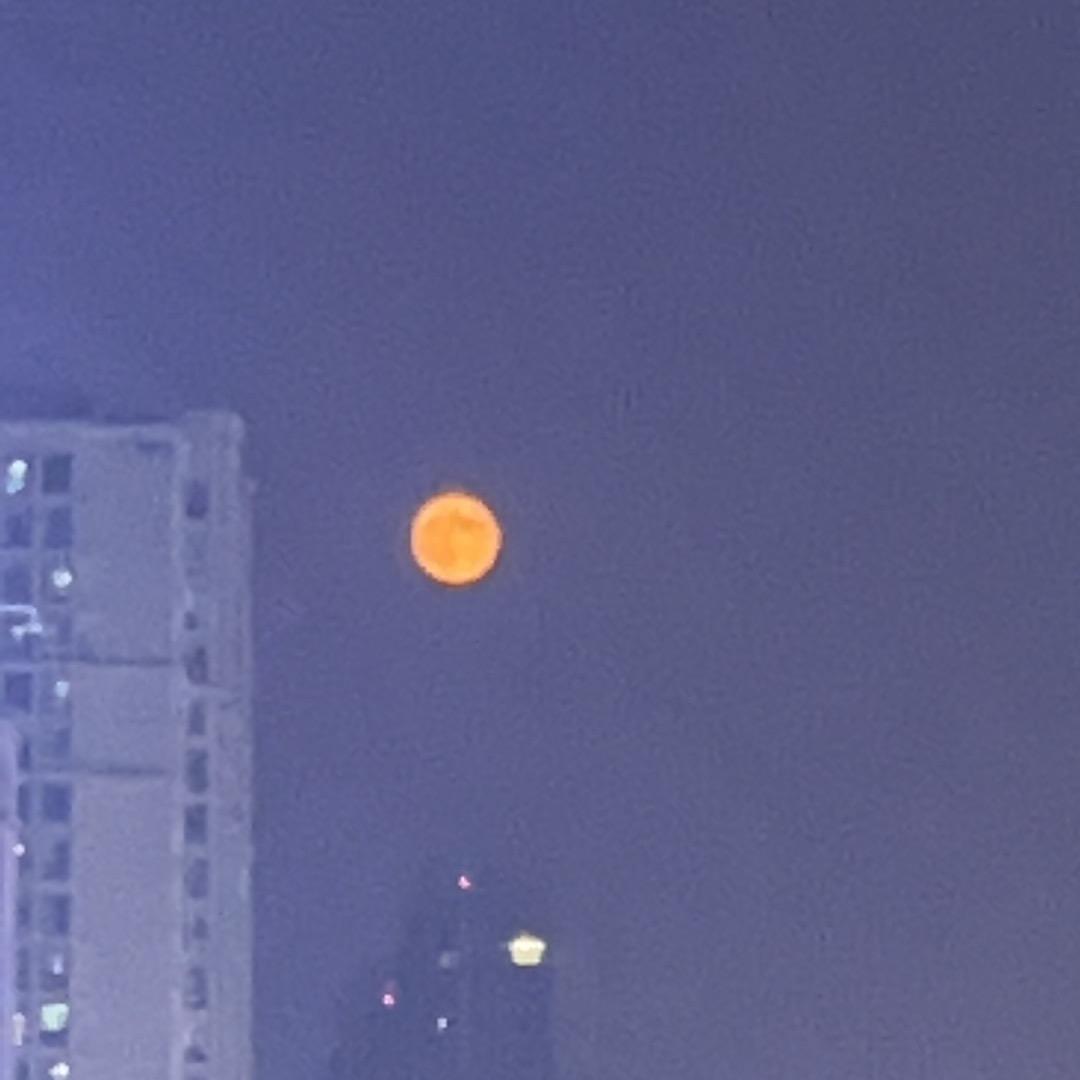 勇往直钱🥇