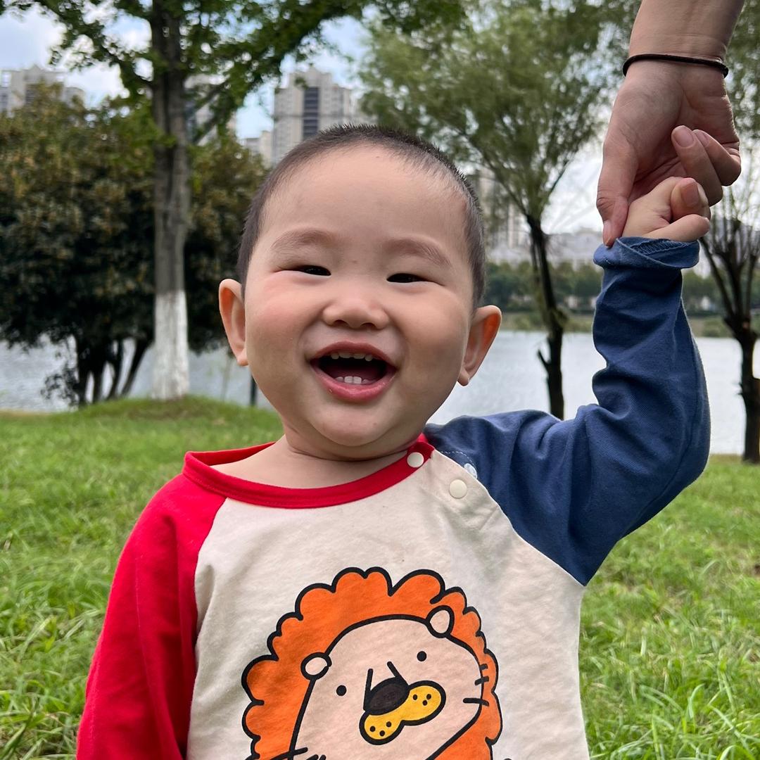 不是枫油精